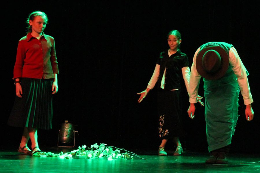 bild33