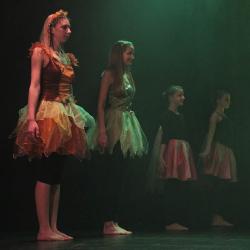 2014 Ein Sommernachtstraum