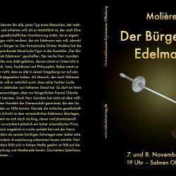 Der Bürger als Edelmann 2013 - Programm Aussenseite