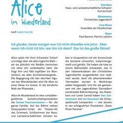 Alice im Wundeland 2014 - Flyer Rückseite