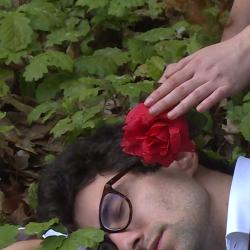 2023 Ein-Sommernachtstraum