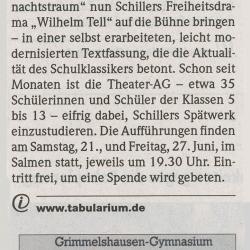 Badische Zeitung - Vorbericht vom 16. Juni 2008