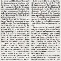 Der Teufel mit den drei goldenen Haaren - BZ Aufführungsbericht vom 10. Mai 2013